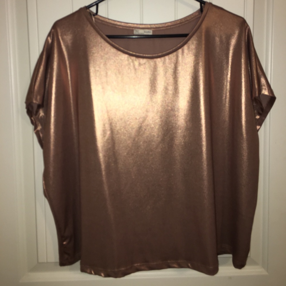Zara Metallic Top